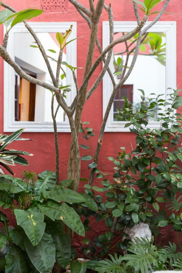 Central Cape Town, Stylish Home, With Private Courtyard Esterno foto